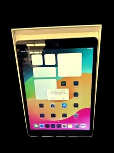 Silber iPad 9. Gen in Box - Bild 1 von 4