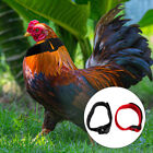 Hahn Stop Crow Kragen - Lärmminderung für Hühnerhaltung