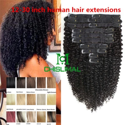 Long Kinky Curly Clip In Human Hair Extensions Afro for Women 8A Thick Remy Hair - Image 1 of 4