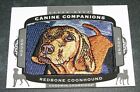 2018 Goodwin Champions CANINE  Companions REDBONE COONHOUND #CC155 patch couleur