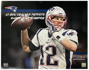 Tom Brady Unsigned Patriots 6x SB Champ 16" x 20" Photograph LE 12 - Picture 1 of 1