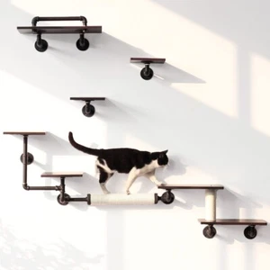 Wall-Mounted Cat Shelves(6PCS) | Eco-Friendly Smoky Rubber Wood - Picture 1 of 15