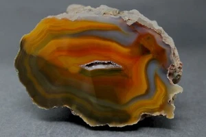 Condor agate collector specimen CK4 - Picture 1 of 3