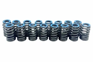 Kit de resorte de válvula de motor Gen V 6,2 L LT1 y L86 ¡Paquete de 16 colmena! - Imagen 1 de 2