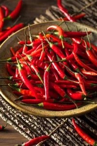 Easy To Grow Heirloom Hot Thai Birds Eye Chilli - Organic Aussie Grown 15 Seeds - Picture 1 of 3