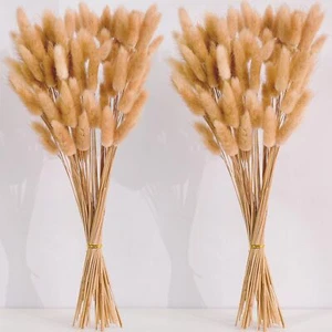 120 PCS Nature Dried Pampas Grass Decor 17-inch Pompas Floral Dry Flowers for... - Picture 1 of 7