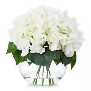 Enova Home Ortensia Composizione Floreale in Vaso di Vetro Trasparente con Acqua Finta - Foto 1 di 3