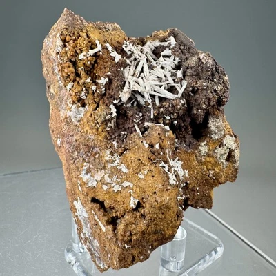 Fine Jackstraw Cerussite Crystals: Leadhills, South Lanarkshire, Scotland- Rare! - Image 1 of 4