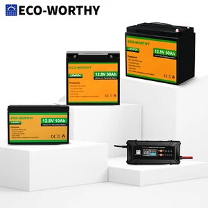 ECO-WORTHY 10AH 30AH 50AH 12V Deep Cycle Lithium Battery LiFePO4 for RV Boat - Picture 1 of 39
