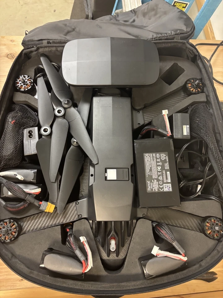 Parrot Bluegrass Chimera - Image 1 of 3