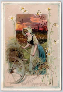 The Woolson Spice Company Midsummer Greeting Lion Coffee Toledo Ohio 1891 - Imagen 1 de 2