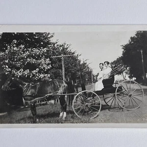 Antike RPPC Echt Foto Postkarte Paar Mann Frau Pferd gezogen Buggy - Bild 1 von 10