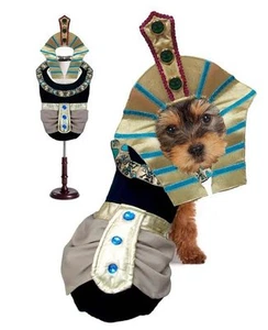 Re Mutt Cane Costumi Re Tut Egiziano Royalty Faraone Cani Halloween Wear - Picture 1 of 3