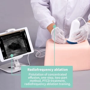 Abdominal Ultrasound Puncture Phantom 6Simulated Lump Biopsy Cyst Teaching Train - Picture 1 of 6