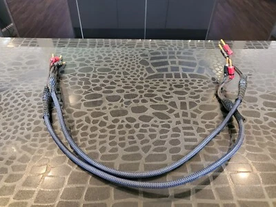 Used AUDIOQUEST TYPE 4 SPEAKER CABLE WIRE  Banana plugs - Image 1 of 4