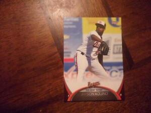 2016 BOWIE BAYSOX with UPDATE Choice Minor League Single Cards YOU PICK OBO