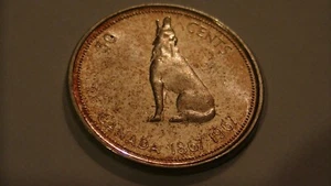1967 CANADÁ MEDIO DÓLAR CONMEMORATIVO CANADIENSE LOBO AULLANTE REINA ISABEL UNC - Imagen 1 de 12