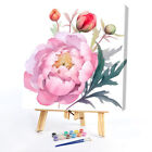 Paint By Numbers Kit DIY Flower Oil Art Picture Craft Home Wall Decor (H1828)