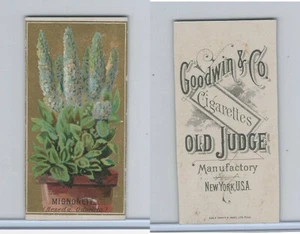 N164 Goodwin Cigarettes, Flowers, 1890, Mignonette (Trim) - Picture 1 of 1
