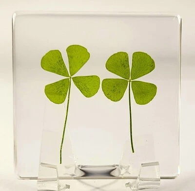 HQRP-CRYSTAL 2.9" Pair Four Leaf Clover in Clear Lucite St.Patrick's Day "Lucky Leaf" Gift