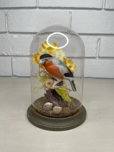 VTG Bullfinch Bird Ceramic Figurine Textile Flowers Mixed Media Under Glass Dome - Imagen 1 de 12