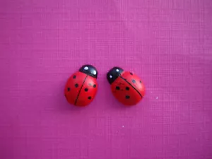 FUNKY MINI RED LADYBIRD EARRINGS KITSCH CUTE RETRO SWEET LADY BUG GIRLS GIFT EMO - Picture 1 of 1