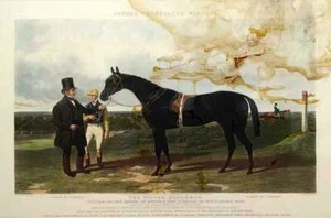 FORES.S CELEBRATED WINNERS-THE FLYING DUTCHMAN. GRAVUR. J. HARRIS. LONDON 1849 - Bild 1 von 2