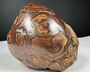 259 Gr Natural Septarium Dragon's Stone Solid Septarian Rough Mineral - Picture 1 of 18