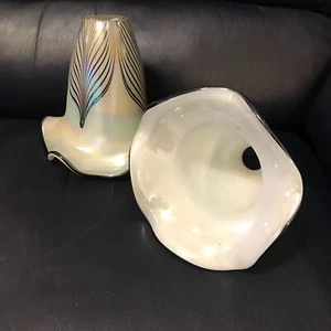Bellissima coppia di grandi tonalità di tulipano in vetro artistico piuma tirata calcite - BD - Foto 1 di 2