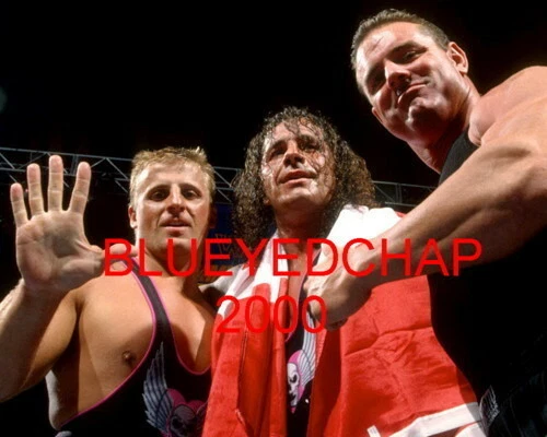 FOTO DE LUCHA LIBRE DAVEY BOY-OWEN & BRET HART WRESTLER 8 X 10 WWF Foto 1 de 1
