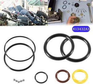 Mercury Mariner Force Trim Tilt Cylinder Seals Rebuild Kit, Replaces 813432A3 - Picture 1 of 17