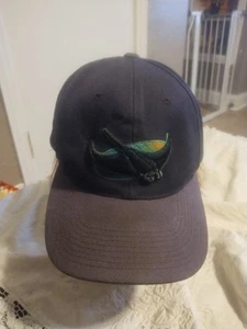Vintage New Tampa Bay Devil Rays MLB Snapback Hat Cap Black Genuine Merchandise - Picture 1 of 8
