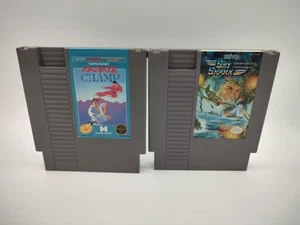 Karate Champ & Sky Shark (Nintendo Entertainment System, 1986) Tested Works! - Picture 1 of 6