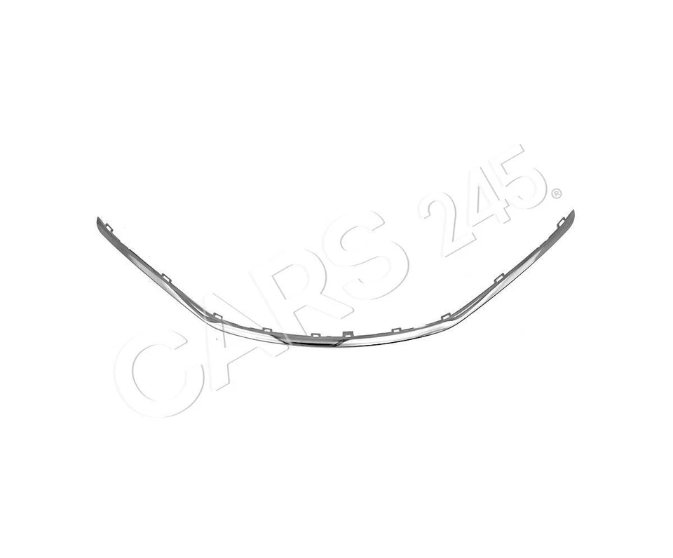 Barra decorativa/protectora para parachoques CHRYSLER PACIFICA 5SD03SZ0AD - Imagen 1 de 1