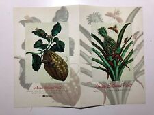  1997 USA United States of America Merian Botanical Prints in Folder Booklet  