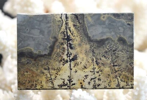 Scheibe poliert - Landschaftsstein 71 mm - Guilin, Guangxi, China - Bild 1 von 2