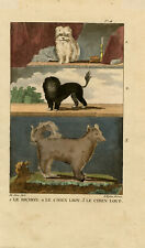 Antique Print-Dogs-Bichon Frise and a wolfhound-Buffon-Seve-L'Epine-1822
