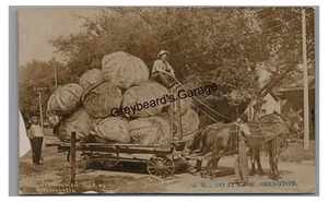 RPPC Exaggeration Farming Horse Drawn Wagon Cabbage WA Real Photo Postcard - Picture 1 of 2
