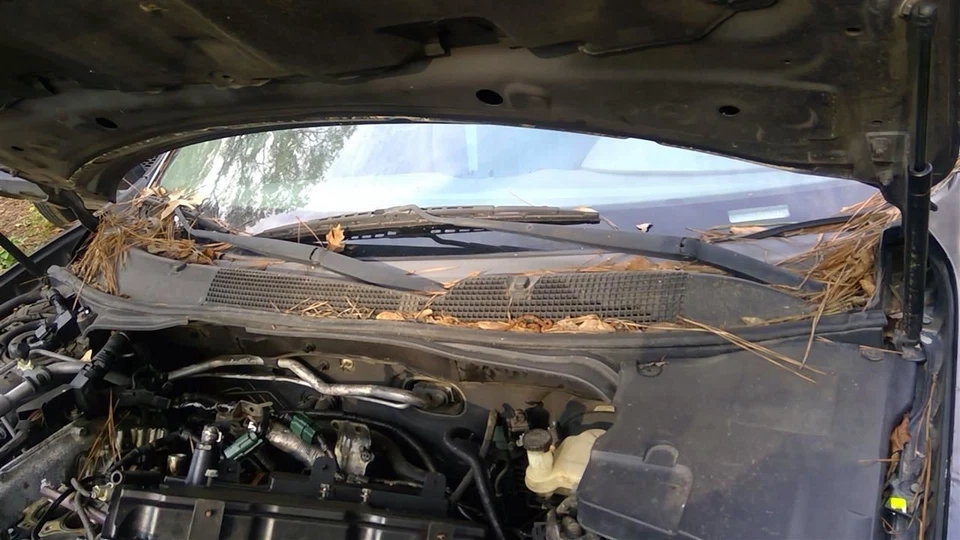 Wiper Transmission Fits 04-08 MAXIMA 26631 - Image 1 of 1