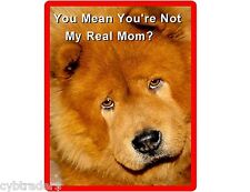 Funny Chow Chow Dog Mom Refrigerator / Tool Box Magnet Gift Card Insert
