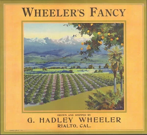 *Original WHEELER'S FANCY Rialto HADLEY ORCHARD orangefarbenes Kistenetikett KEINE KOPIE! - Bild 1 von 1
