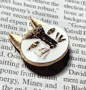 BOTÓN CHANEL ORO BLANCO GATO GRANDE 25 MM - Imagen 1 de 4