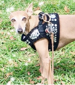 Black Step-in Harness - Black Tie Affair - Bark Avenue Bling - Picture 1 of 8