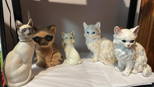 Foto 1 di 1