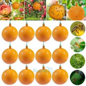 Lot Sticky Glue Fly Gnat Wasp Hornet Mosquito Bugs Flying Insects Trap Ball Trap - Picture 1 of 22