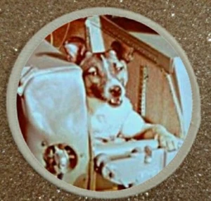 Laika First Dog In Space Cosmonaut 3" Bügeln/Nähen Sublimation Patch Abzeichen - Bild 1 von 1