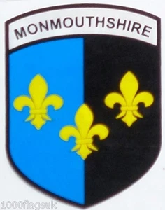 Adesivo vinile finestra auto bandiera Monmouthshire County Galles - per interno finestra - Foto 1 di 2