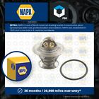 Coolant Thermostat NTH1292 NAPA 032121113 03G121113 03G121113A 044121113 Quality