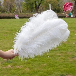 Lote de 10 plumas de avestruz blanco para decoración de fiestas de bodas plumas artesanales - Imagen 1 de 39