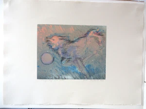 Sandra Kaplan Mixed Media Montaggio a Secco Originale "Cane Arancione con Palla" Firmato Usato in Ottime Condizioni - Foto 1 di 10